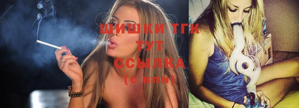 стаф Верея