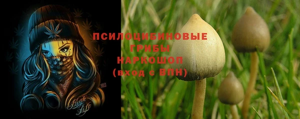 Альфа ПВП Верхний Тагил