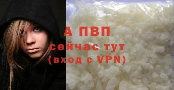 хмурый Гусев