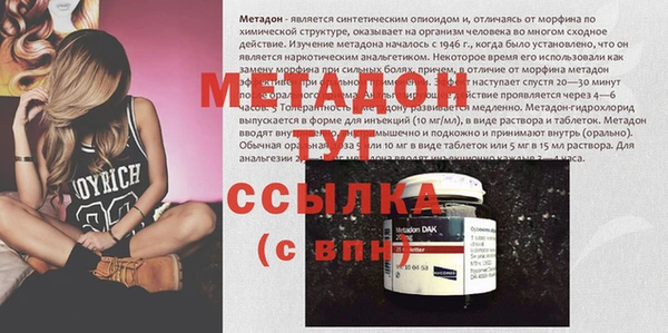 стаф Верея