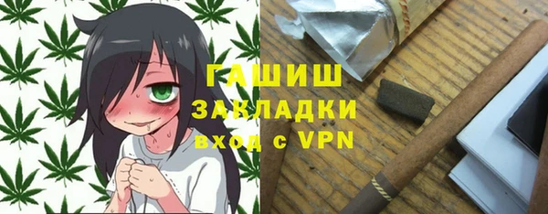 дживик Бородино