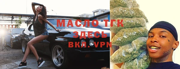 стаф Верея
