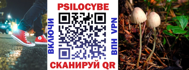 Галлюциногенные грибы GOLDEN TEACHER  Донецк 